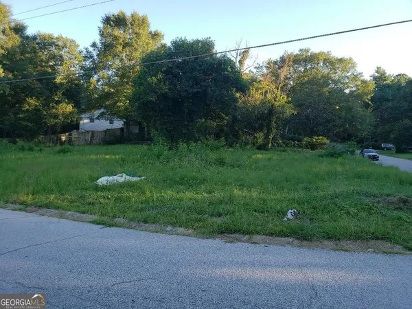 a view of a field with a tree in the background