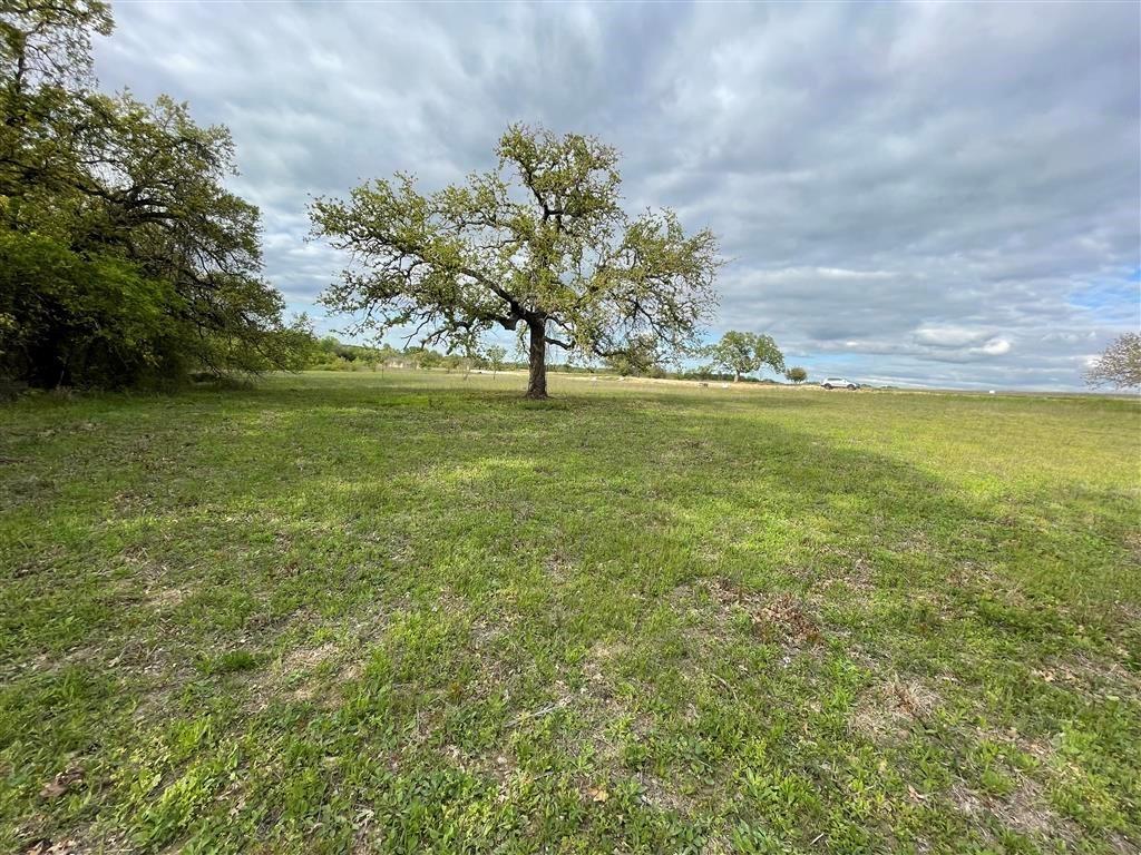 1037 Gonzollas Road Springtown, TX 76082 - Photo 5 of 19