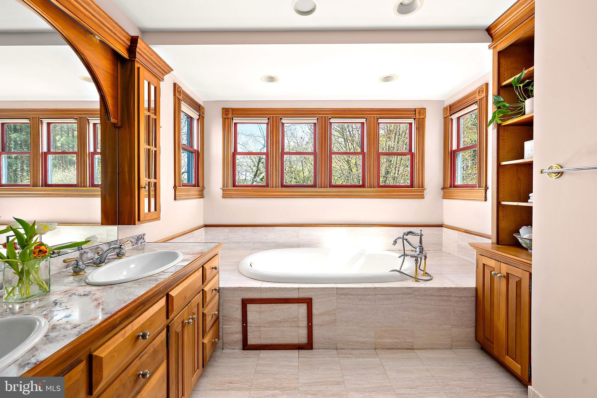 26090 Royal Oak Road Easton, MD 21601 - Photo 39 of 74 a bathroom with a granite countertop sink and a bathtub