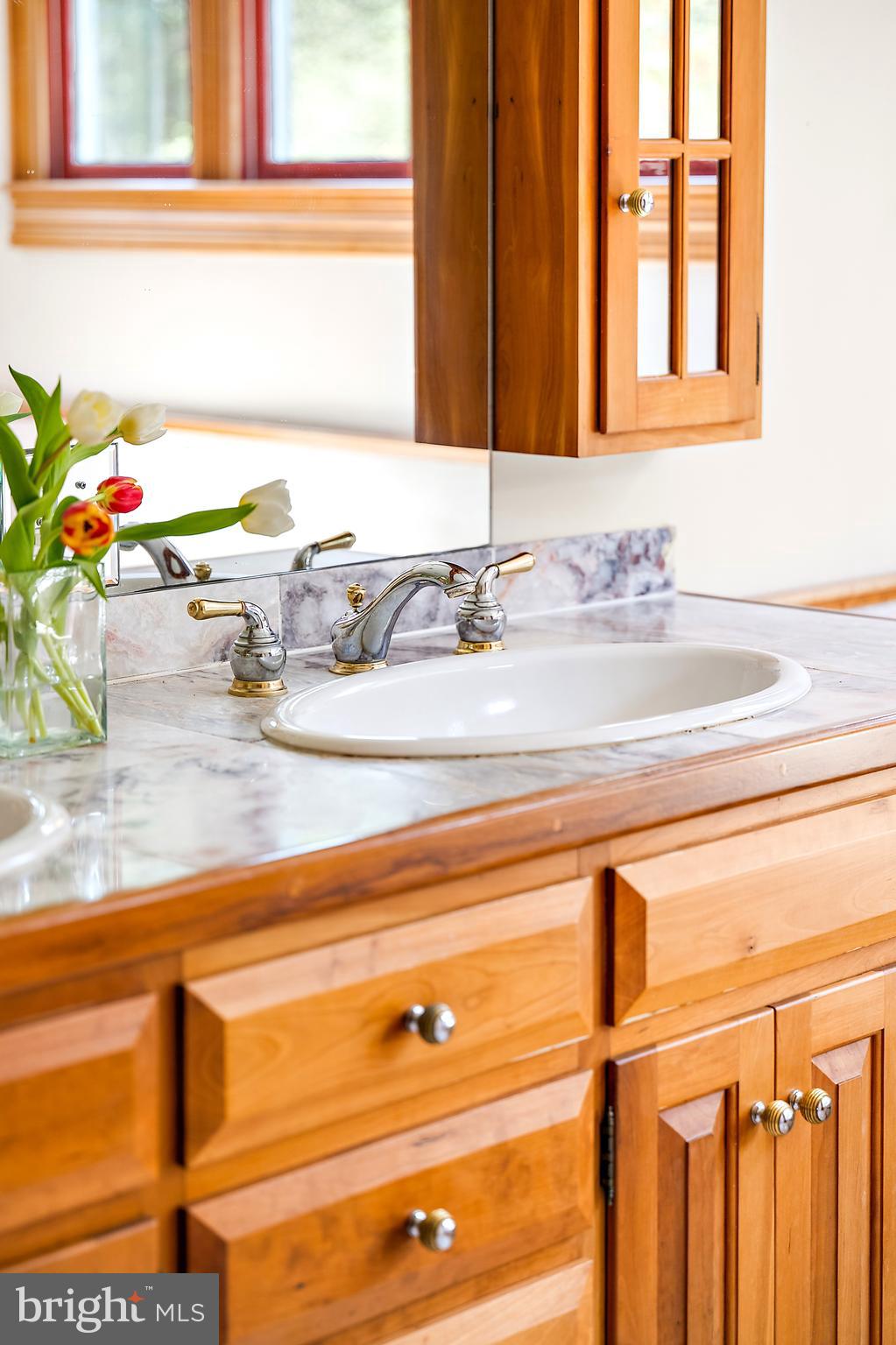 26090 Royal Oak Road Easton, MD 21601 - Photo 40 of 74 a bathroom with a sink and a mirror
