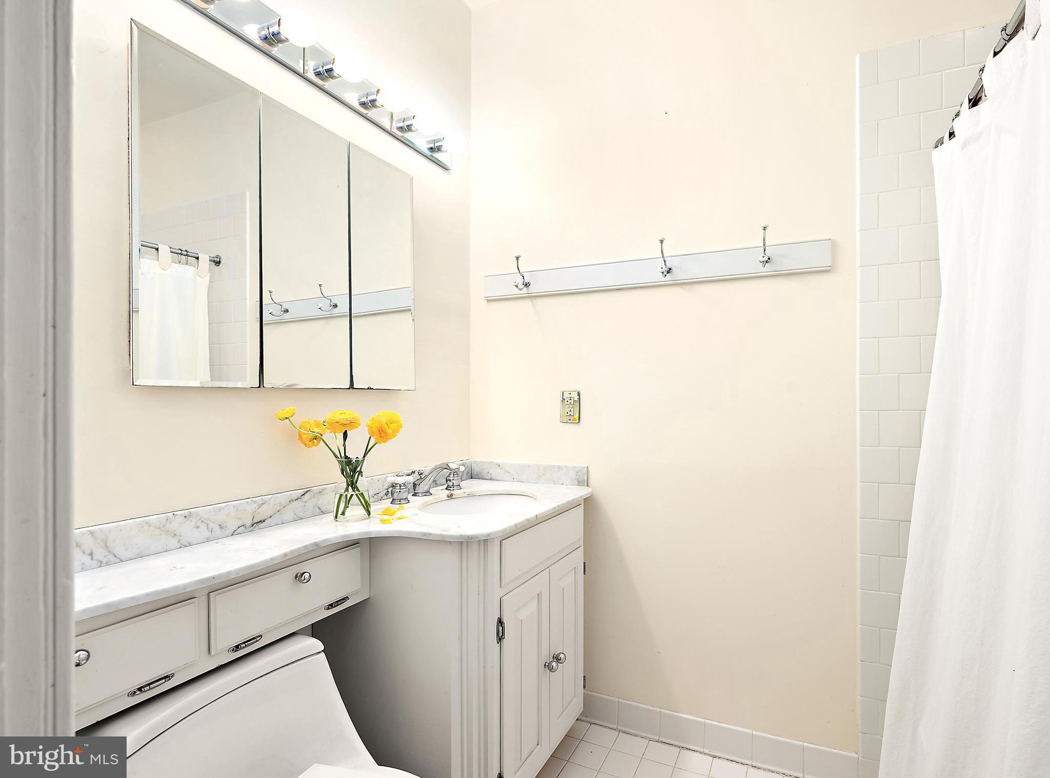 26090 Royal Oak Road Easton, MD 21601 - Photo 42 of 74 a bathroom with a sink and a mirror