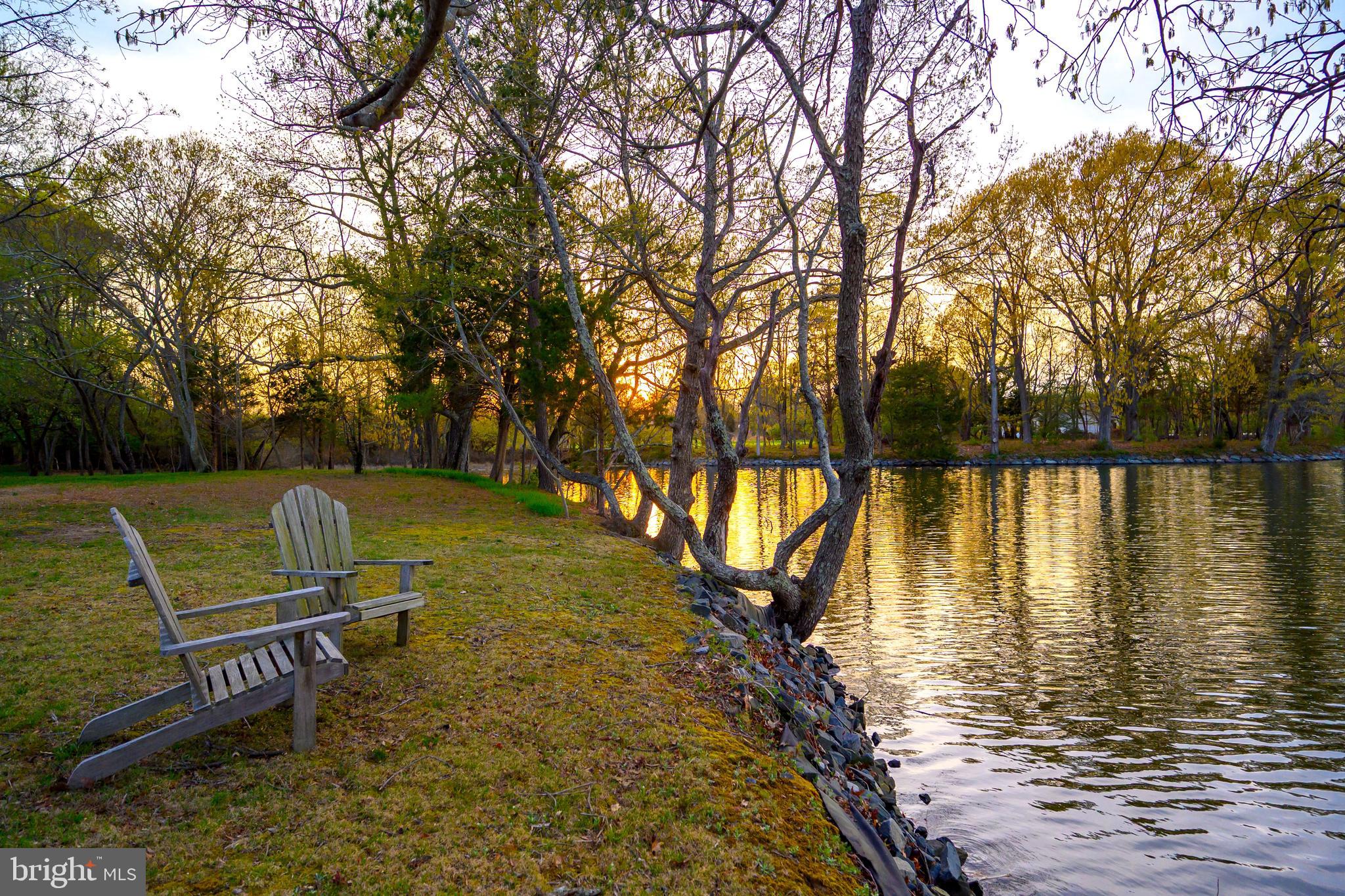 26090 Royal Oak Road Easton, MD 21601 - Photo 54 of 74 a view of a lake with a bench and trees around