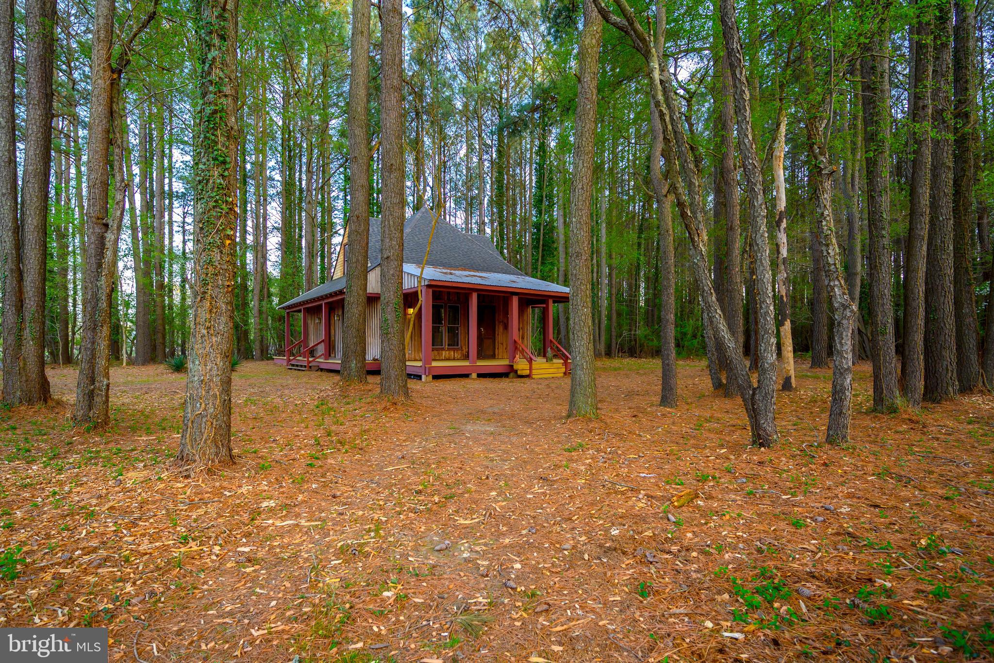 26090 Royal Oak Road Easton, MD 21601 - Photo 59 of 74 a view of a house with backyard and trees