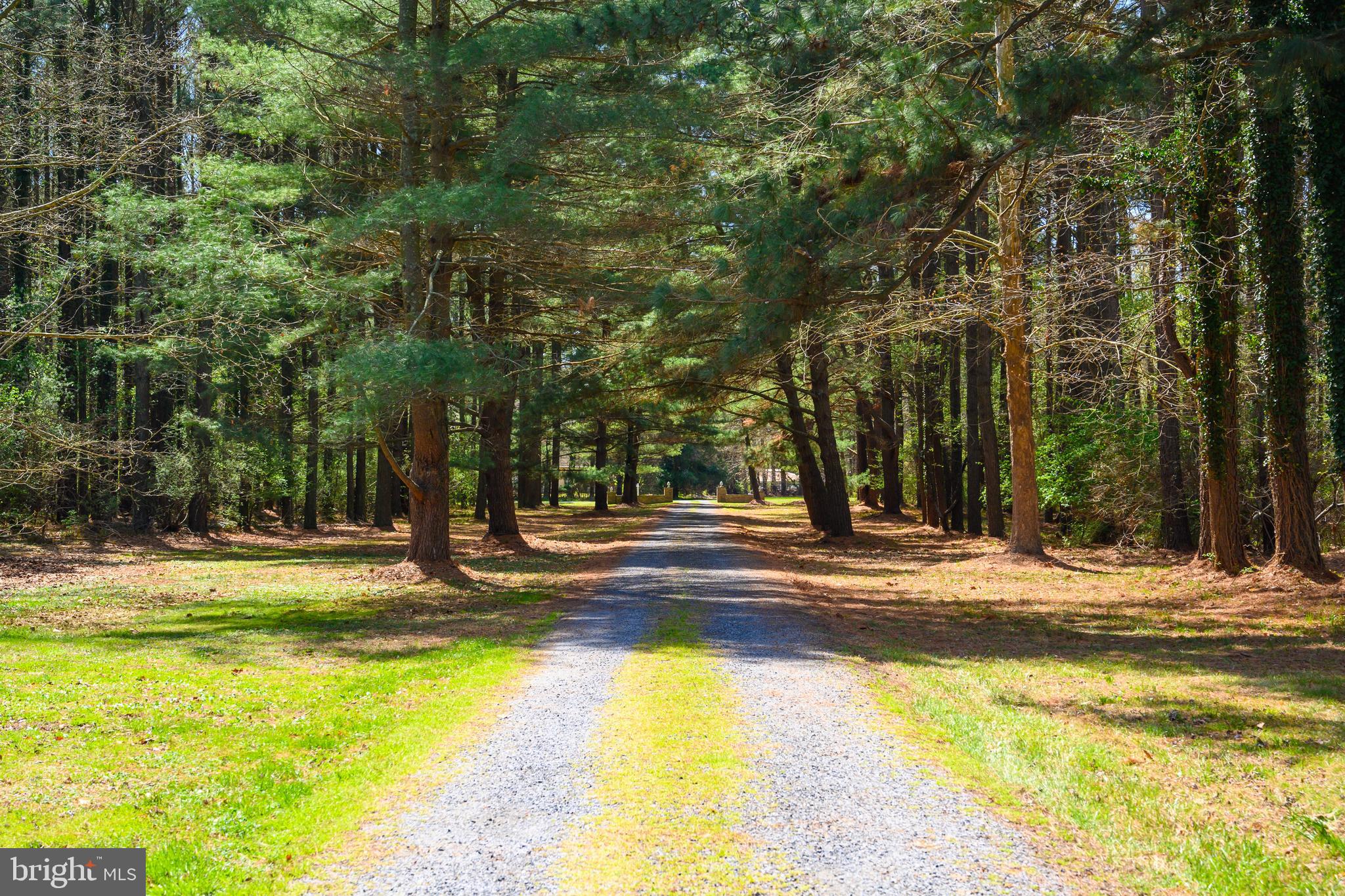 26090 Royal Oak Road Easton, MD 21601 - Photo 70 of 74 a view of a swimming pool with a house in the background