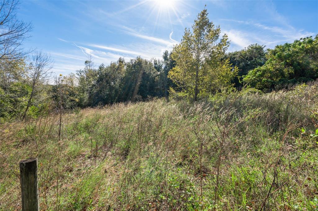 2228 Vick Road Apopka, FL 32712 - Photo 13 of 26 a view of a yard with a tree