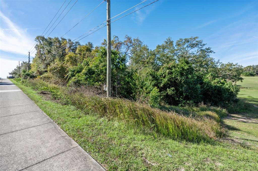 2228 Vick Road Apopka, FL 32712 - Photo 22 of 26 a view of a garden with a tree