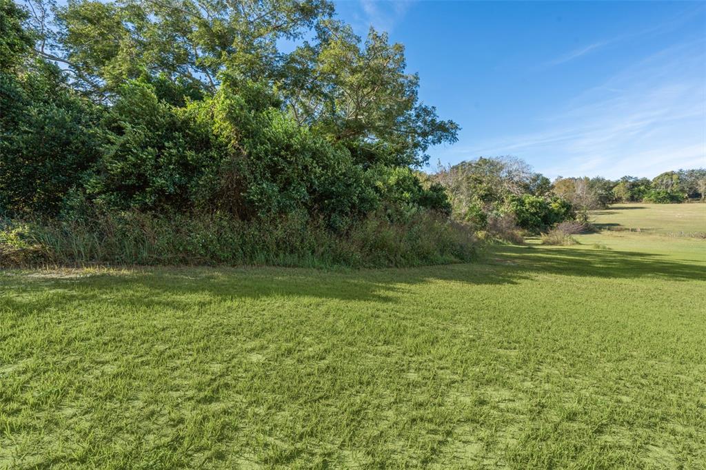2228 Vick Road Apopka, FL 32712 - Photo 23 of 26 a view of a field with an trees
