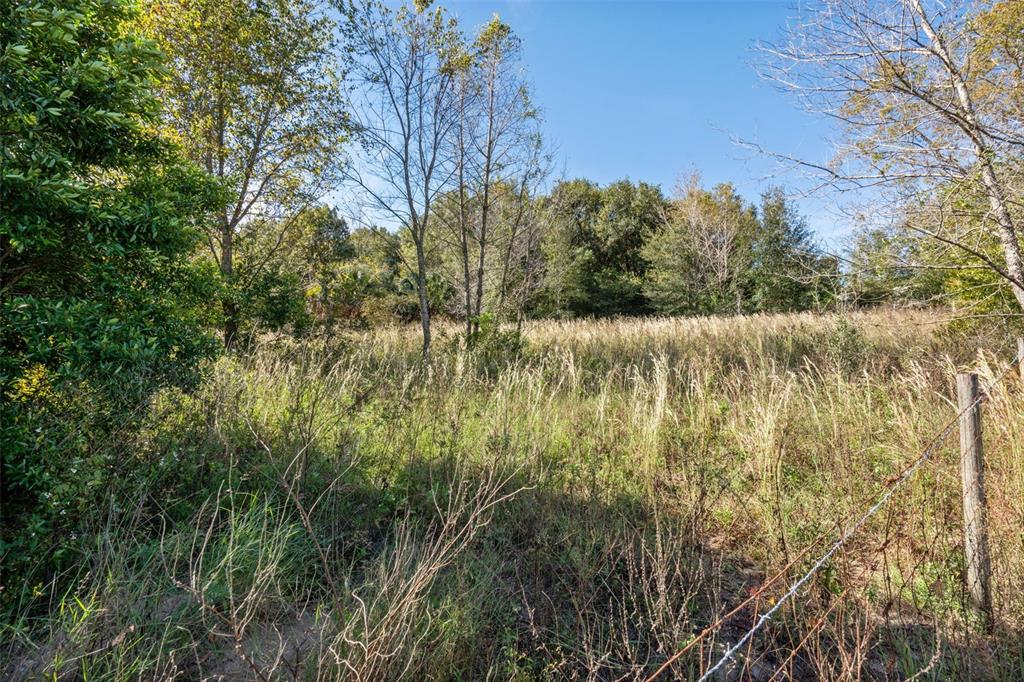 2228 Vick Road Apopka, FL 32712 - Photo 25 of 26 a view of lake with green space