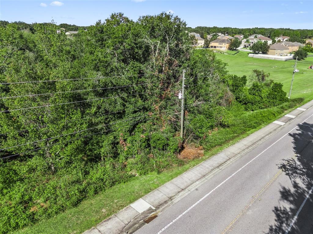 2228 Vick Road Apopka, FL 32712 - Photo 3 of 26 a view of a green field with a mountain in the background