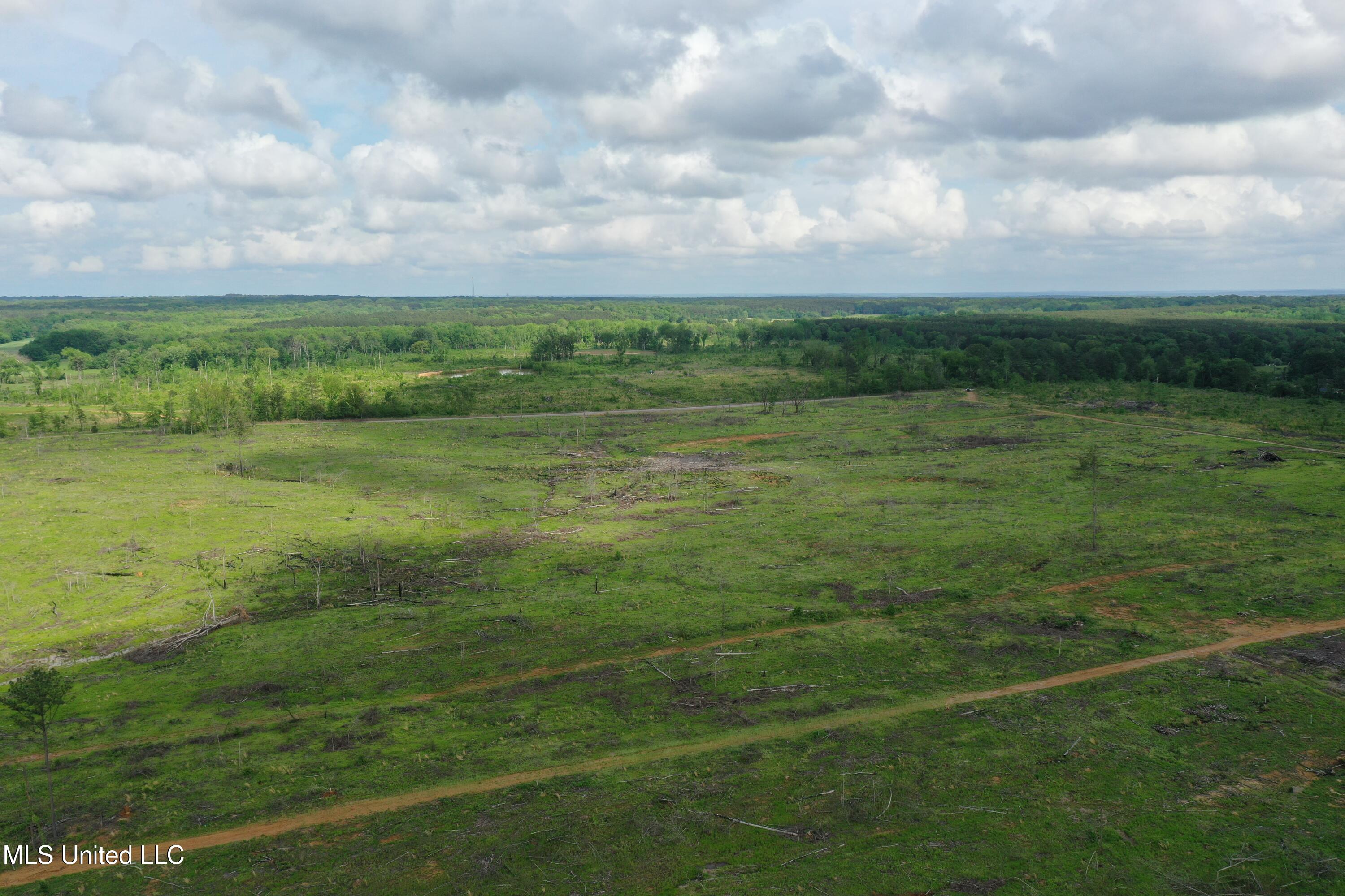 0 Kelsey Massie Road Como, MS 38619 - Photo 7 of 35 DJI_0644