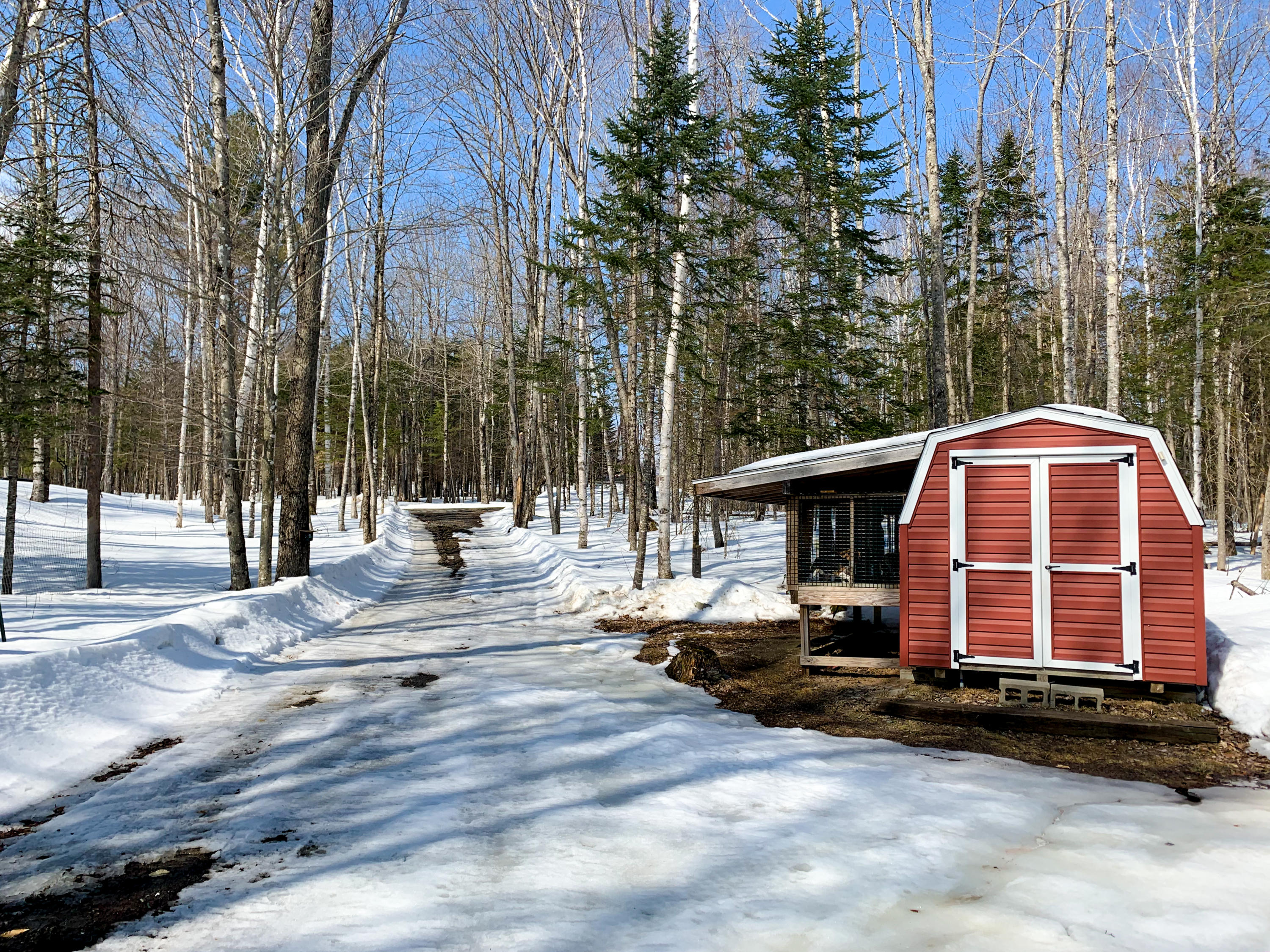 50 Applebee Hill Road Guilford, ME 04443 - Photo 20 of 31 18-kennel