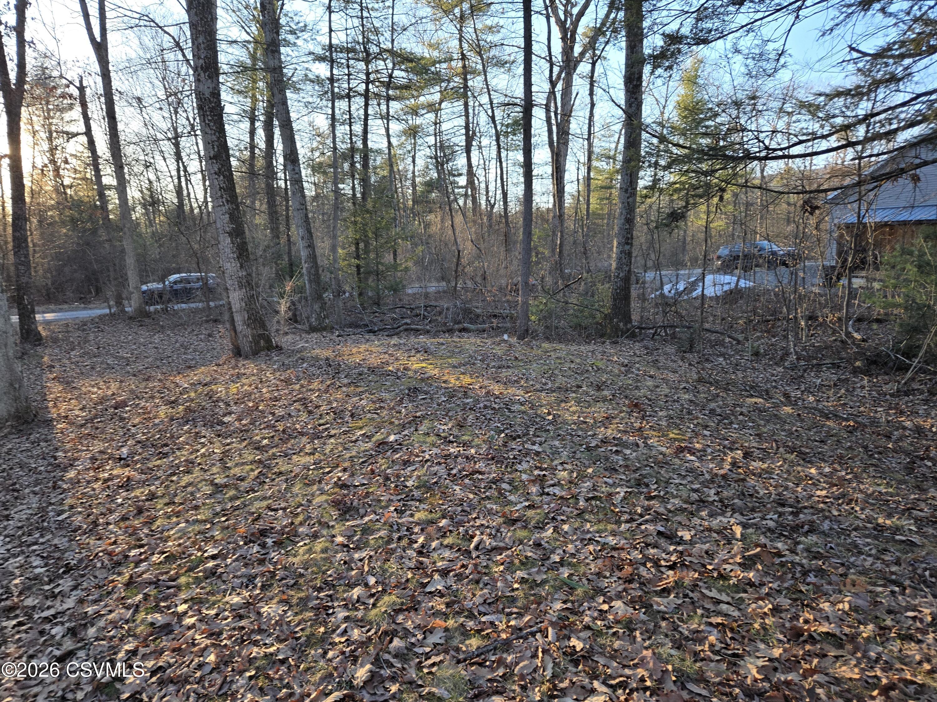 Lot 4 Diehl Road Mifflinburg, PA 17844 - Photo 7 of 10