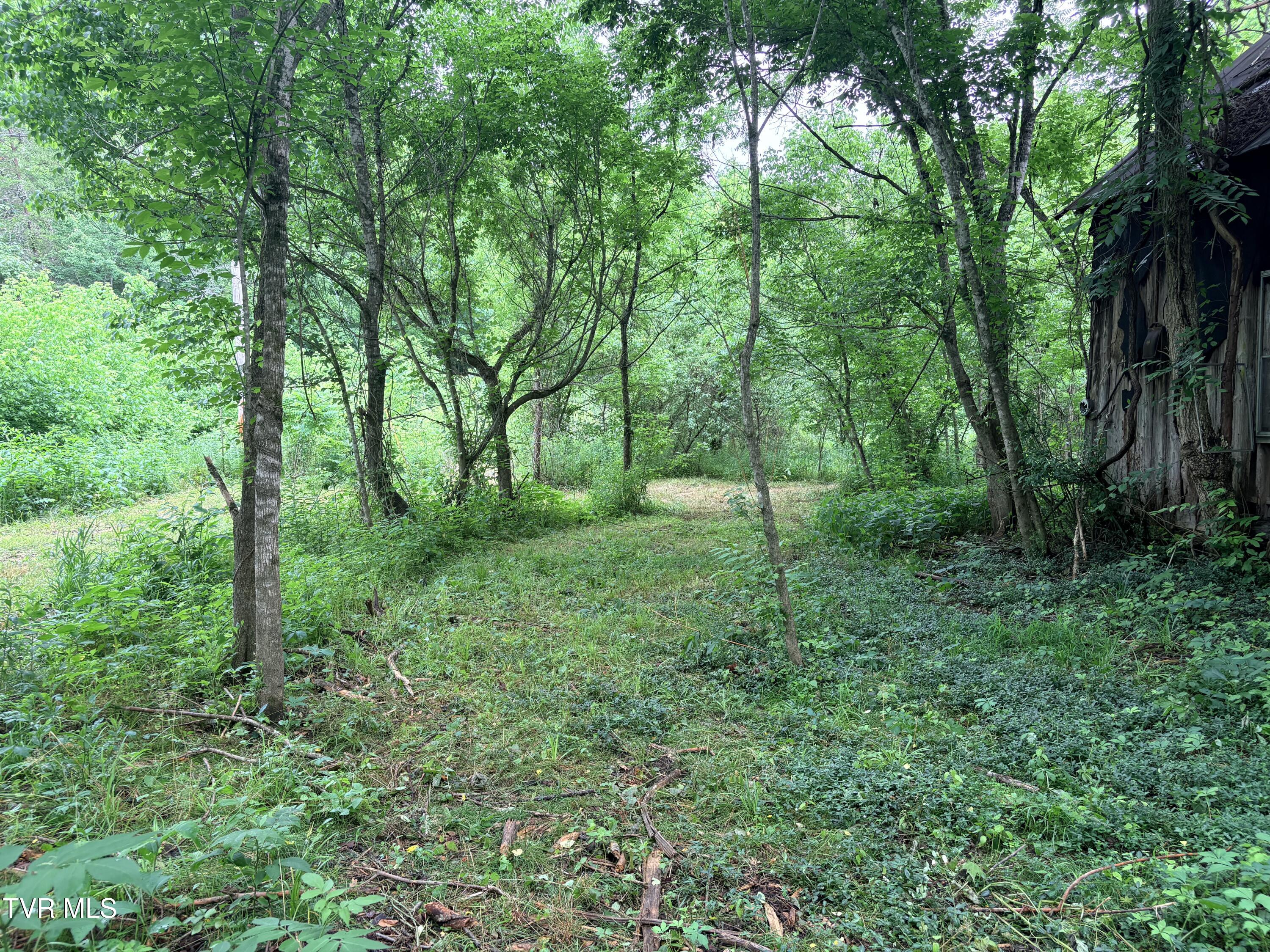 0 Shackleford Road Mosheim, TN 37818 - Photo 19 of 21 IMG_9907