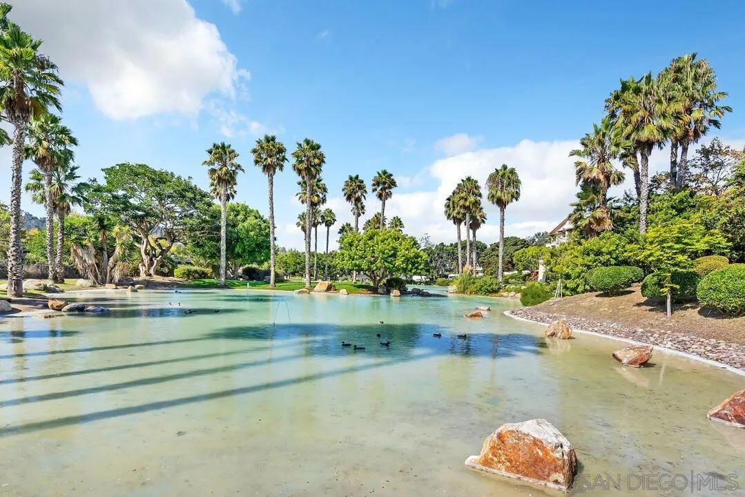 5745 Friars Road, Unit 104 San Diego, CA 92110 - Photo 33 of 38 a view of a swimming pool with a yard and plants