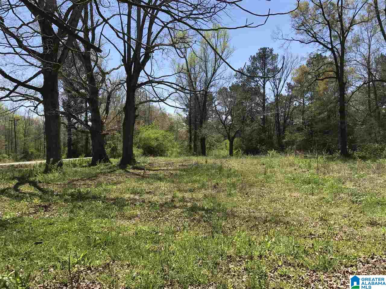 4133 Roy Webb Road, Unit 1 Jacksonville, AL 36265 - Photo 21 of 40