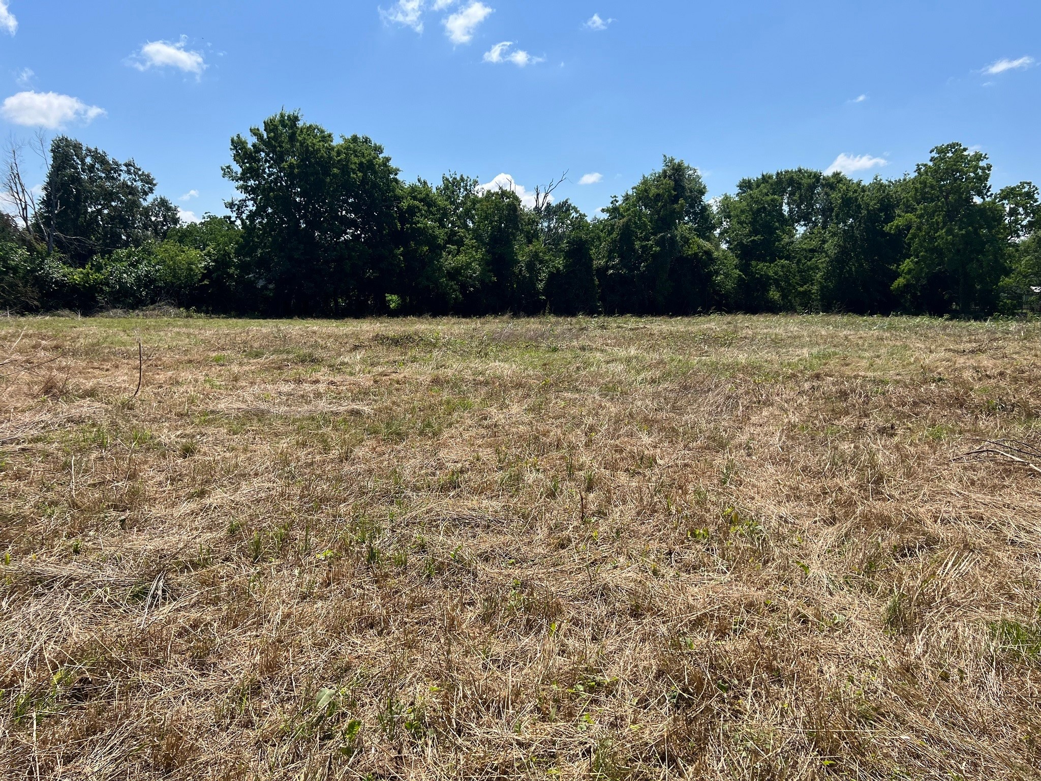 3509 Stella Road Brookshire, TX 77423 - Photo 14 of 29