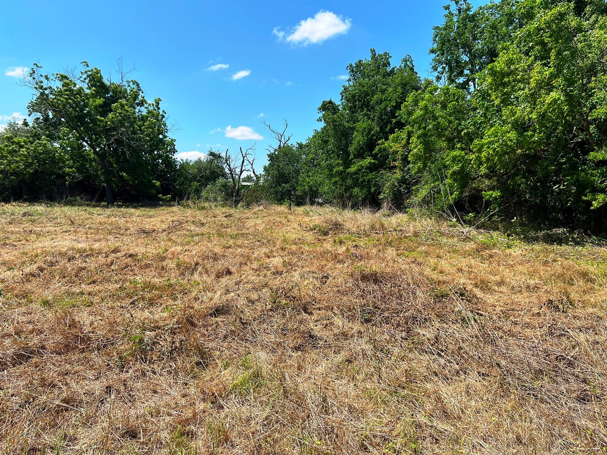 3509 Stella Road Brookshire, TX 77423 - Photo 16 of 29 a view of a yard with a tree