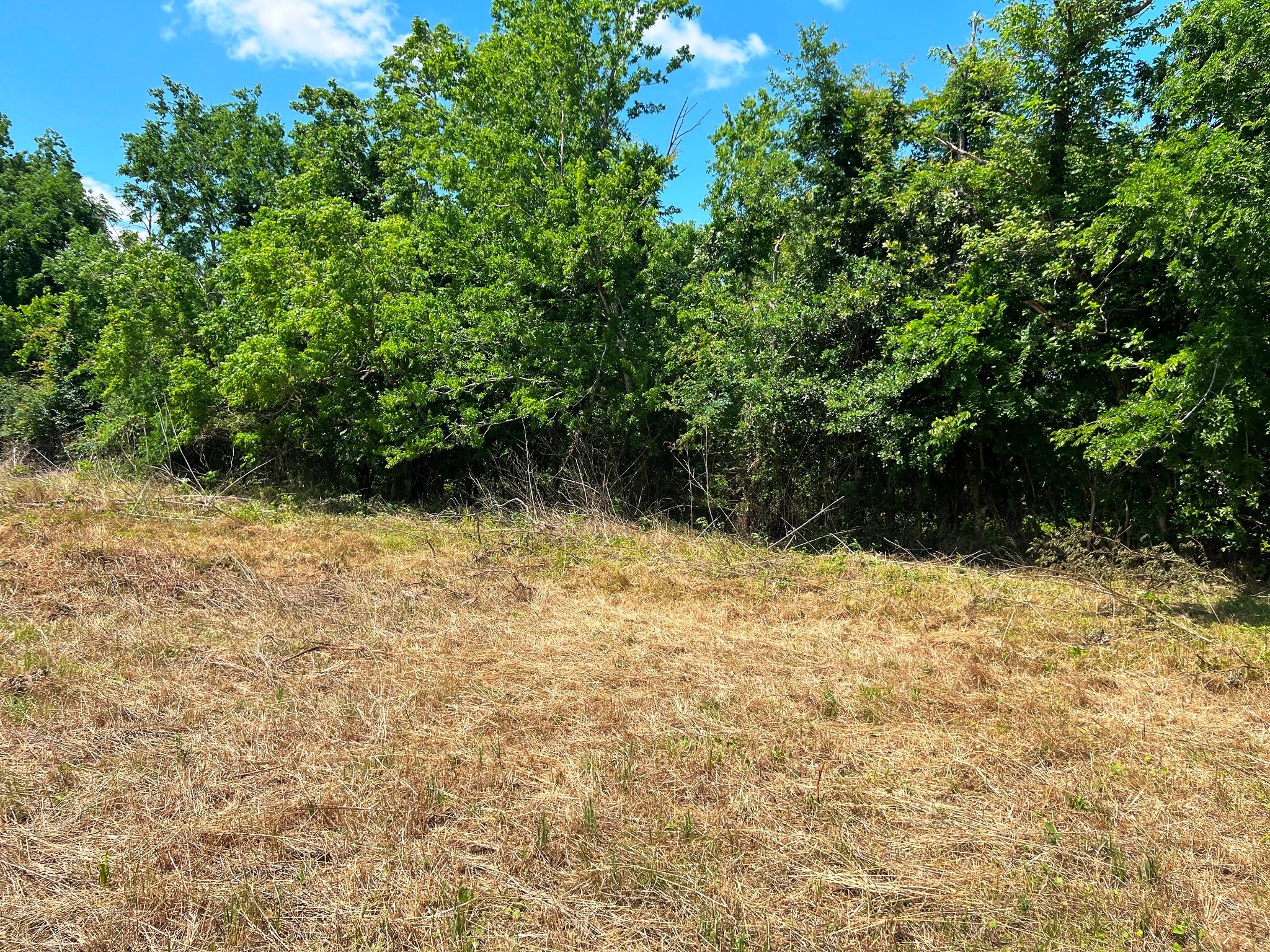 3509 Stella Road Brookshire, TX 77423 - Photo 23 of 29 a view of outdoor space and yard