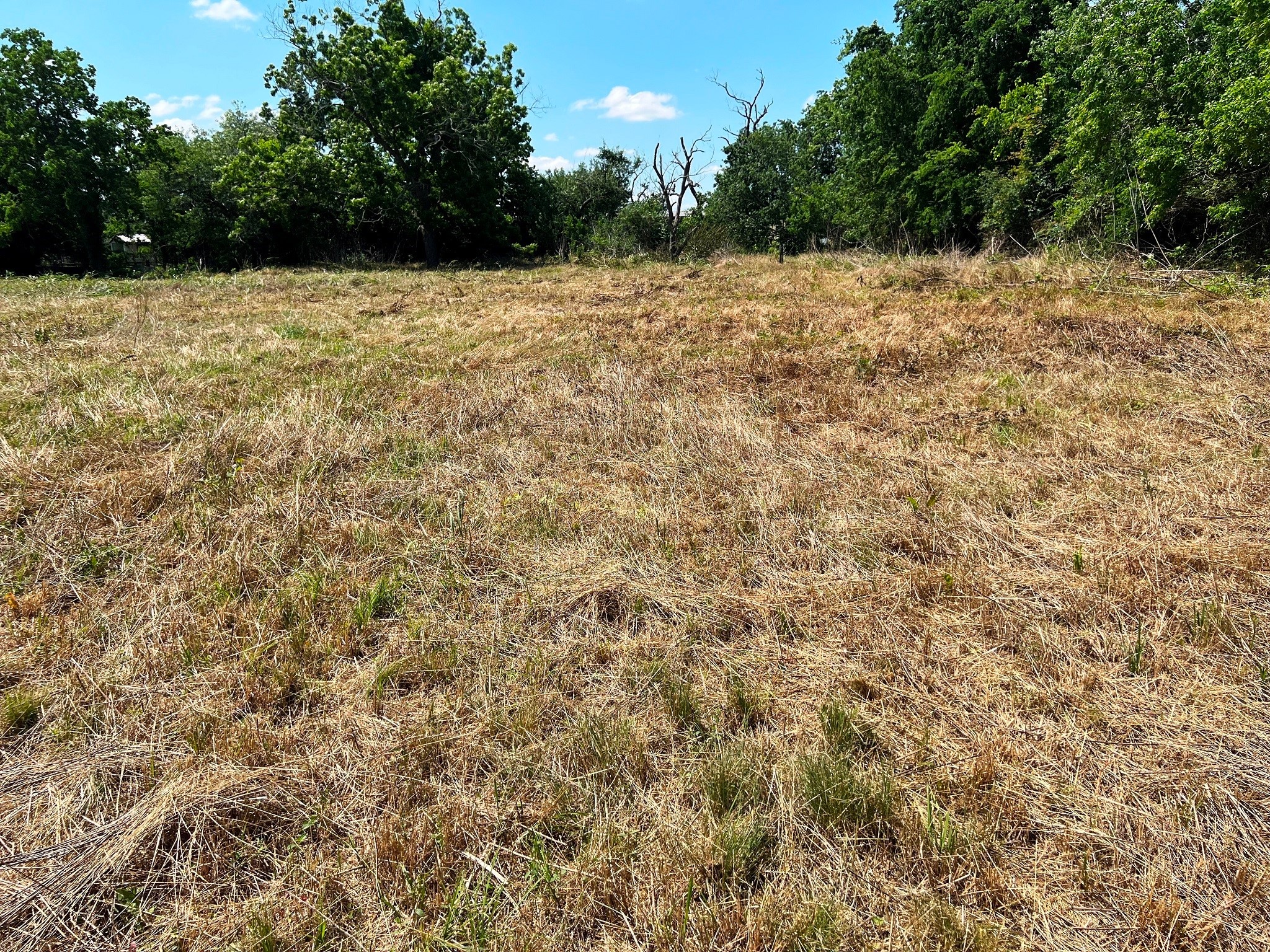 3509 Stella Road Brookshire, TX 77423 - Photo 24 of 29 a view of wall with green space