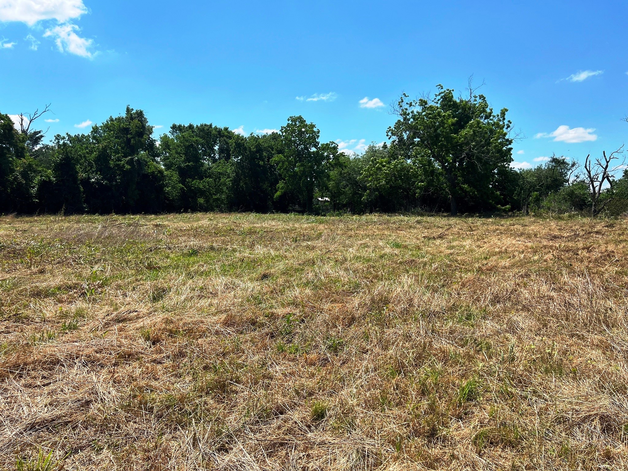 3509 Stella Road Brookshire, TX 77423 - Photo 25 of 29 a yard with trees in the background