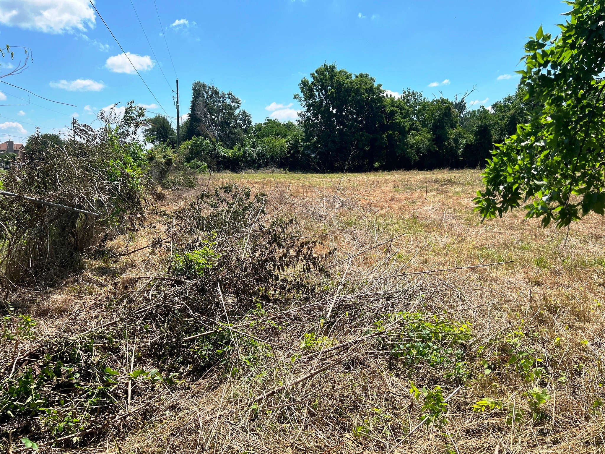 3509 Stella Road Brookshire, TX 77423 - Photo 10 of 29 a view of bushes and tree