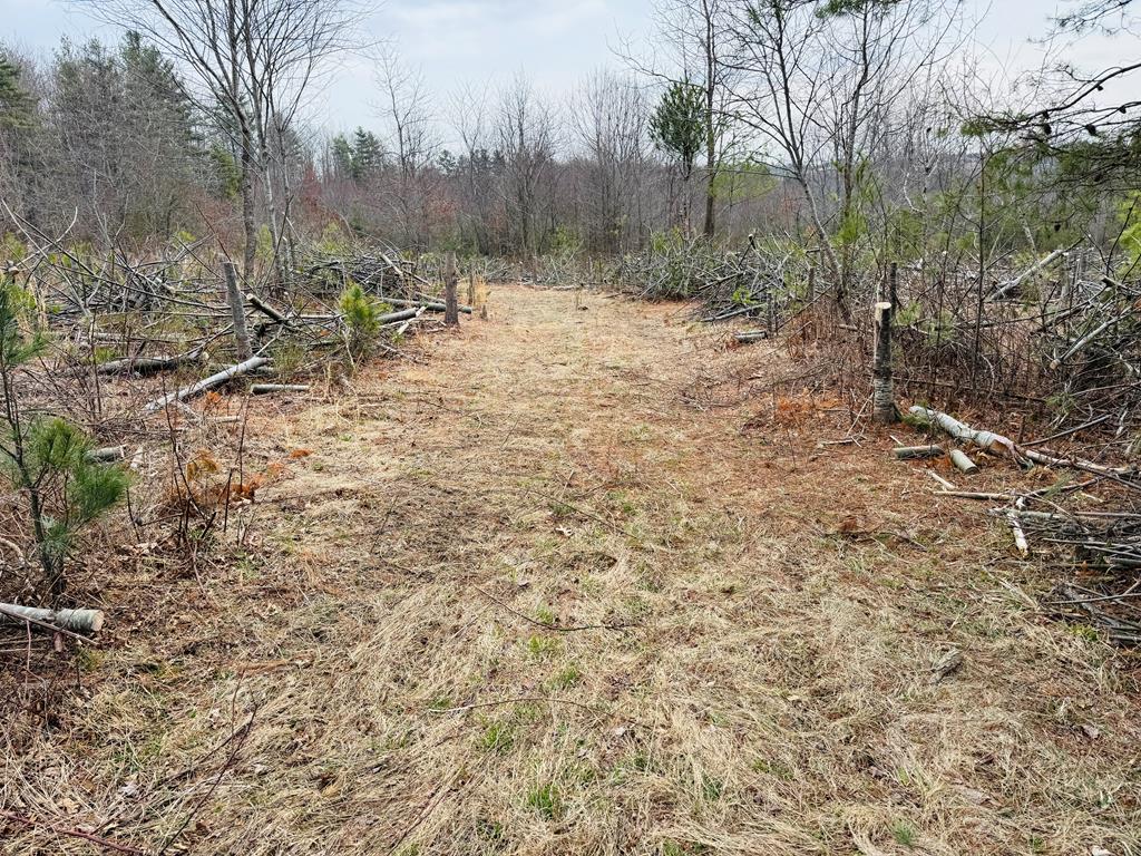 Tbd Pleasantview Road Austinville, VA 24312 - Photo 10 of 15 Gallery Image 10