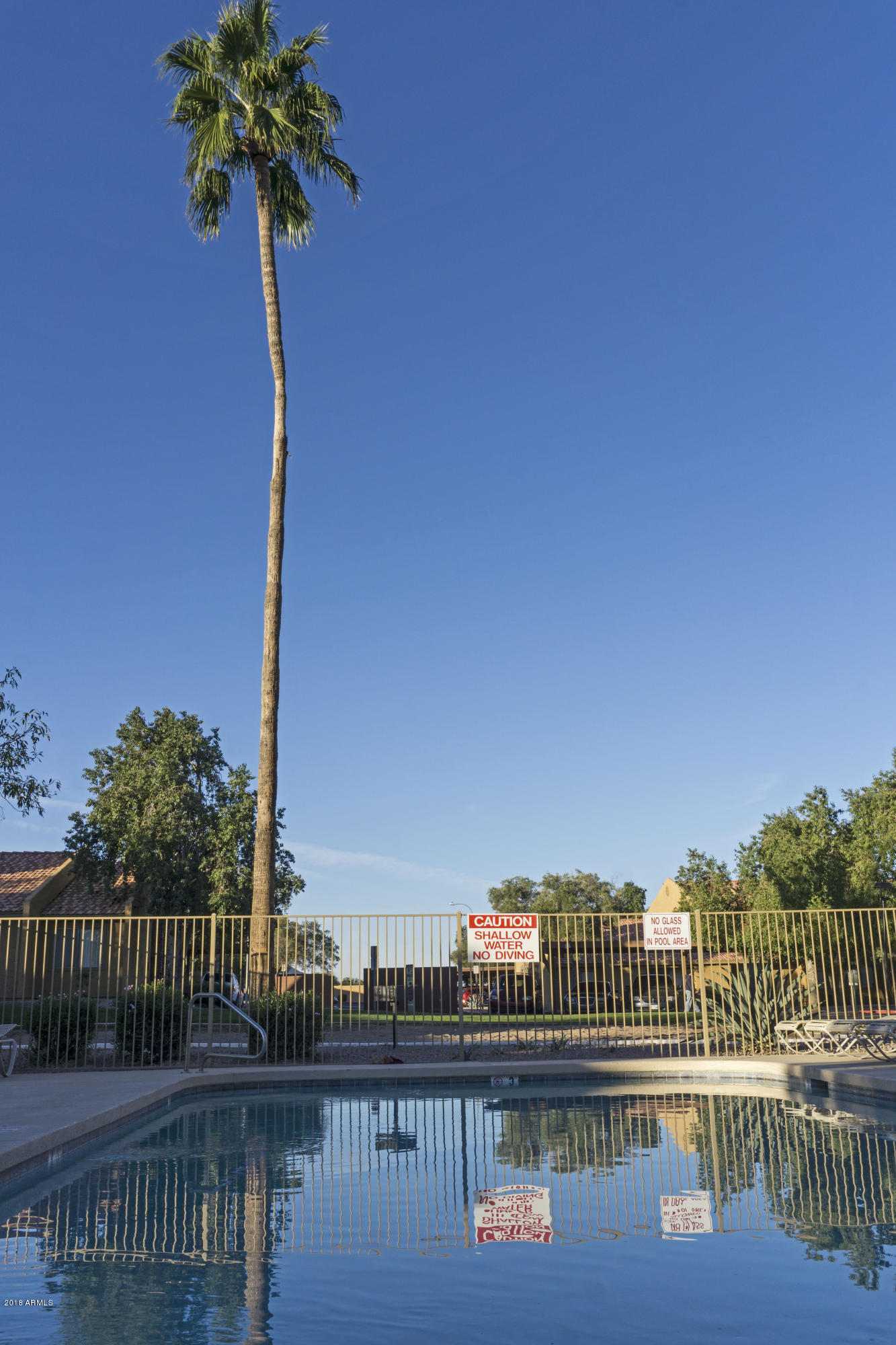 3511 East Baseline Road, Unit 1191 Phoenix, AZ 85042 - Photo 16 of 19 pool