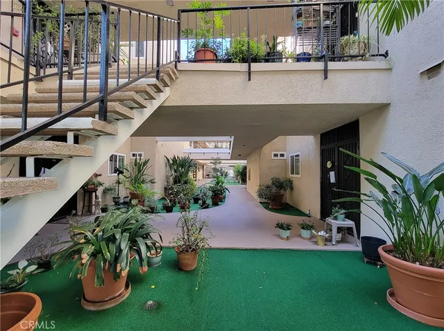 a view of a backyard with plants and garden