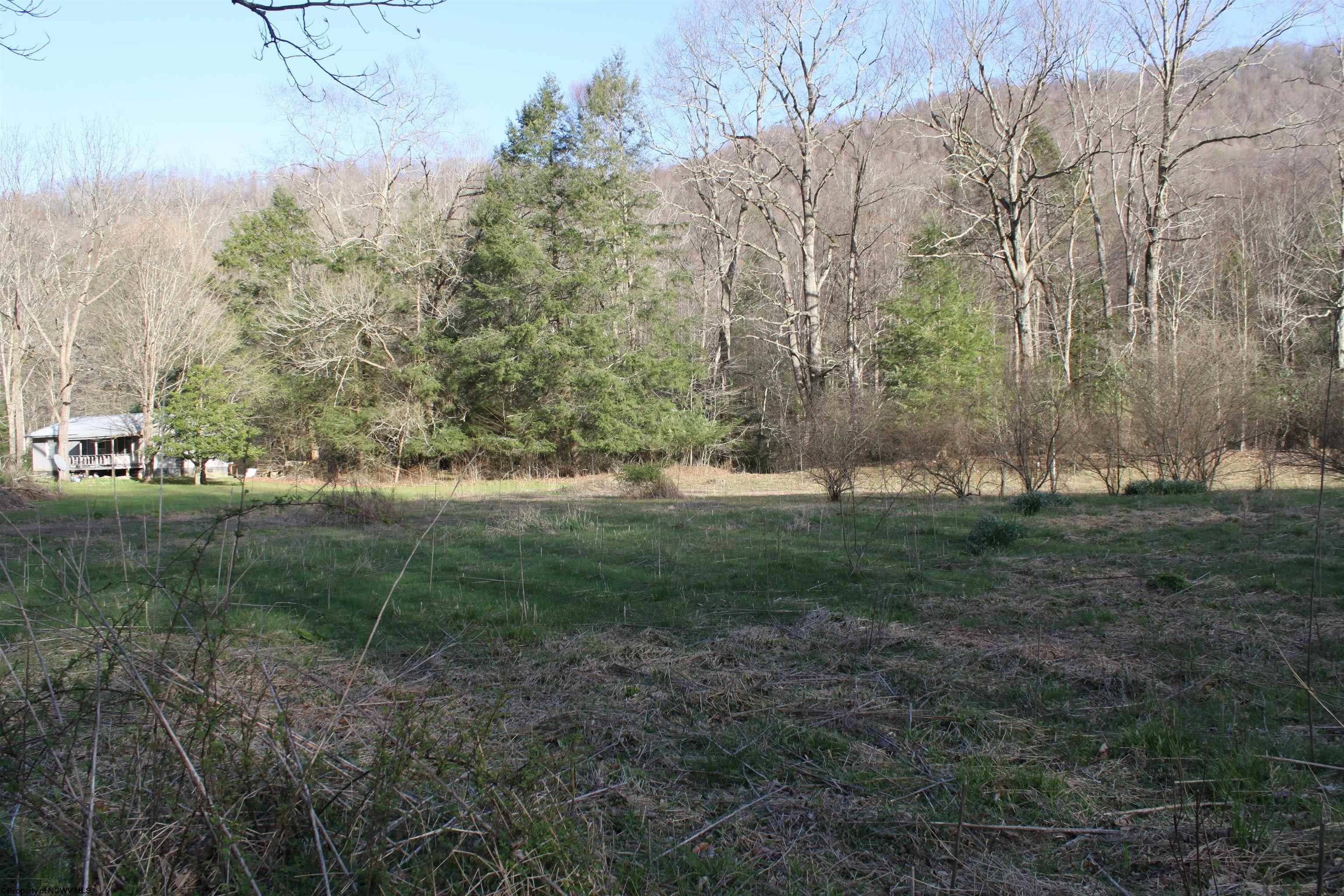 1625 Gauley River Road Webster Springs, WV 26288 - Photo 22 of 23 Gallery Image 22
