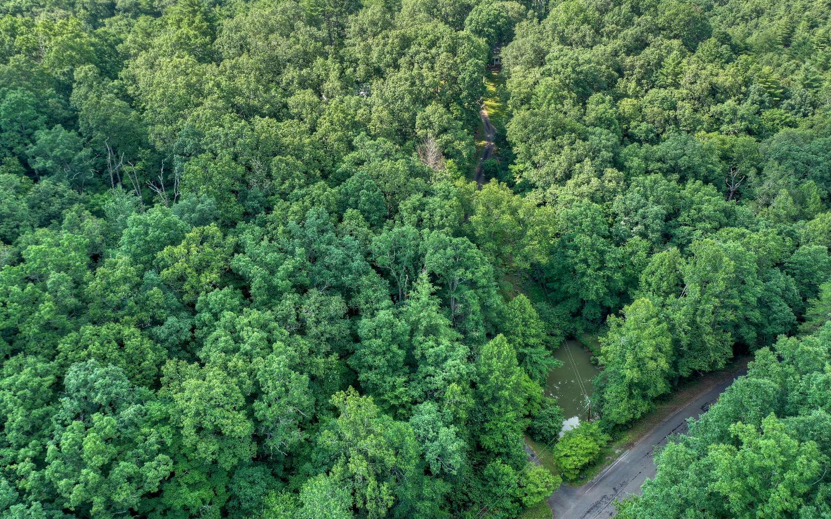 23 Dills Road Blue Ridge, GA 30513 - Photo 4 of 4 Additional View