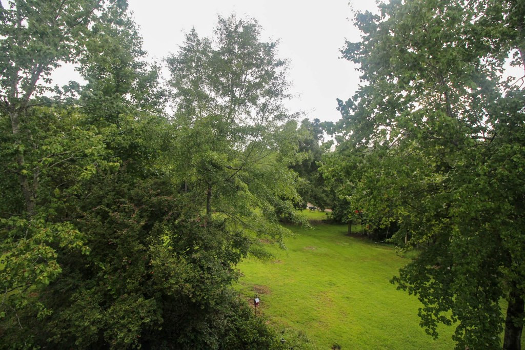 4460 Boulineau Road Blythe, GA 30805 - Photo 29 of 61 Gallery Image 29