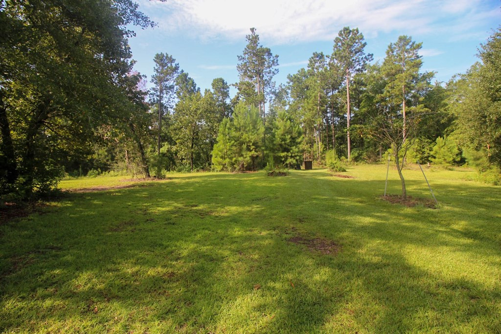 4460 Boulineau Road Blythe, GA 30805 - Photo 44 of 61 Gallery Image 44