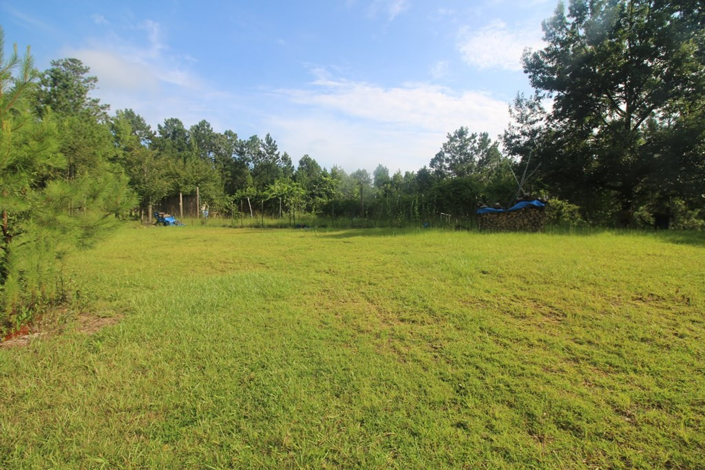 4460 Boulineau Road Blythe, GA 30805 - Photo 49 of 61 Gallery Image 49