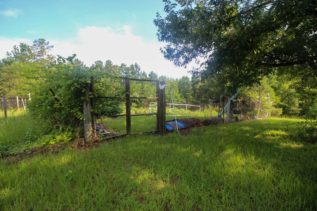 4460 Boulineau Road Blythe, GA 30805 - Photo 50 of 61 Gallery Image 50