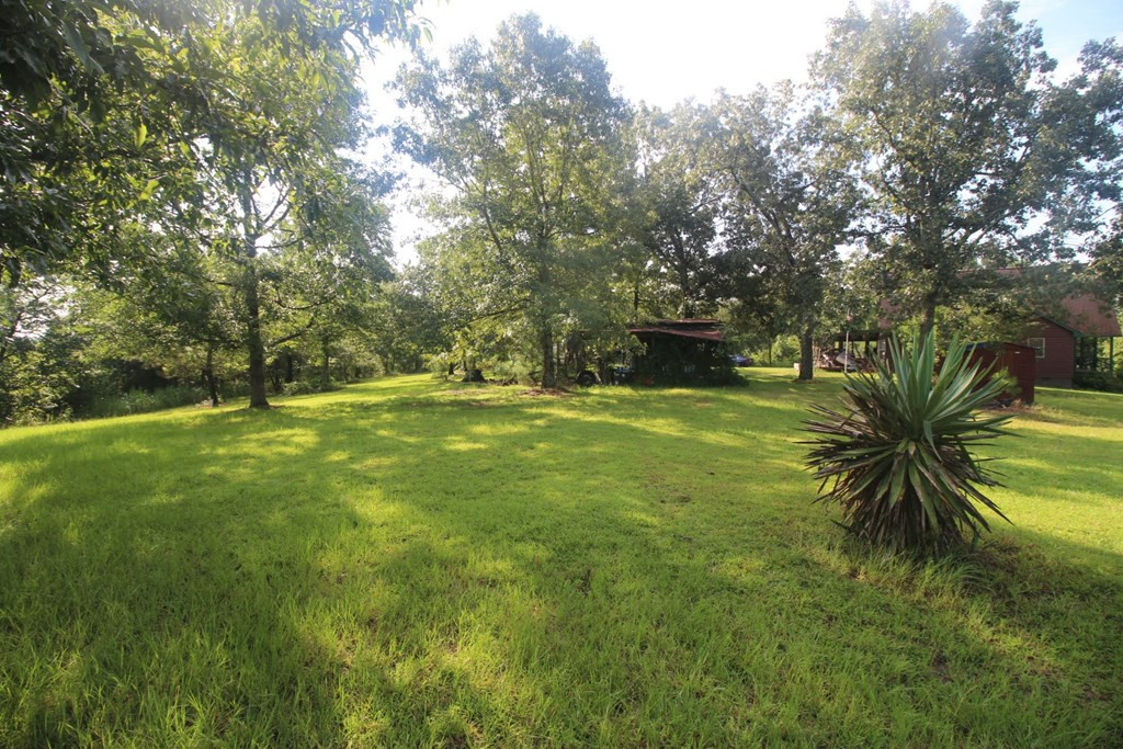 4460 Boulineau Road Blythe, GA 30805 - Photo 53 of 61 Gallery Image 53