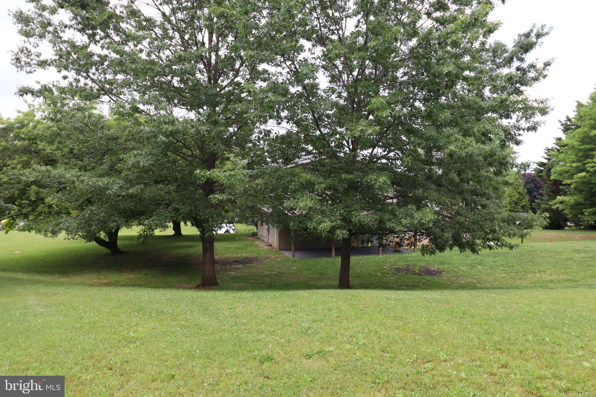 49 Valley View Drive Hanover, PA 17331 - Photo 13 of 64 a view of a tree in a park
