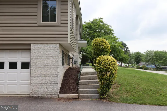 a view of a trees with a yard