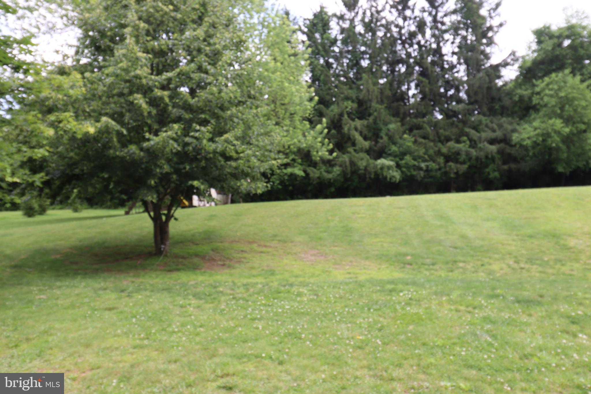 49 Valley View Drive Hanover, PA 17331 - Photo 6 of 64 a view of a trees with a yard