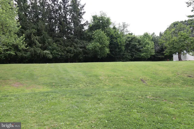 a view of a back yard