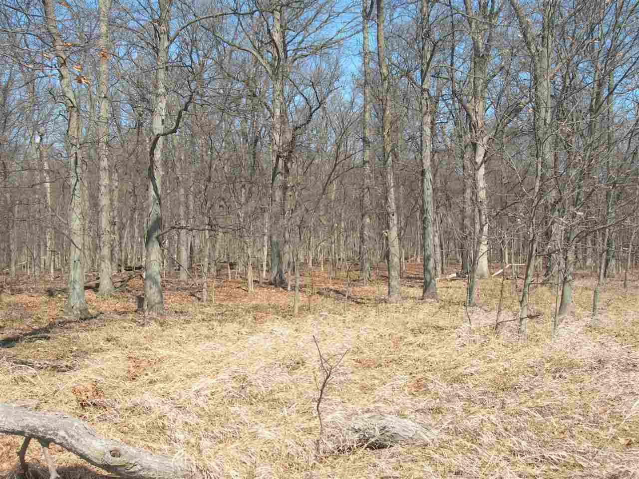 31541 New Road North Liberty, IN 46554 - Photo 5 of 8