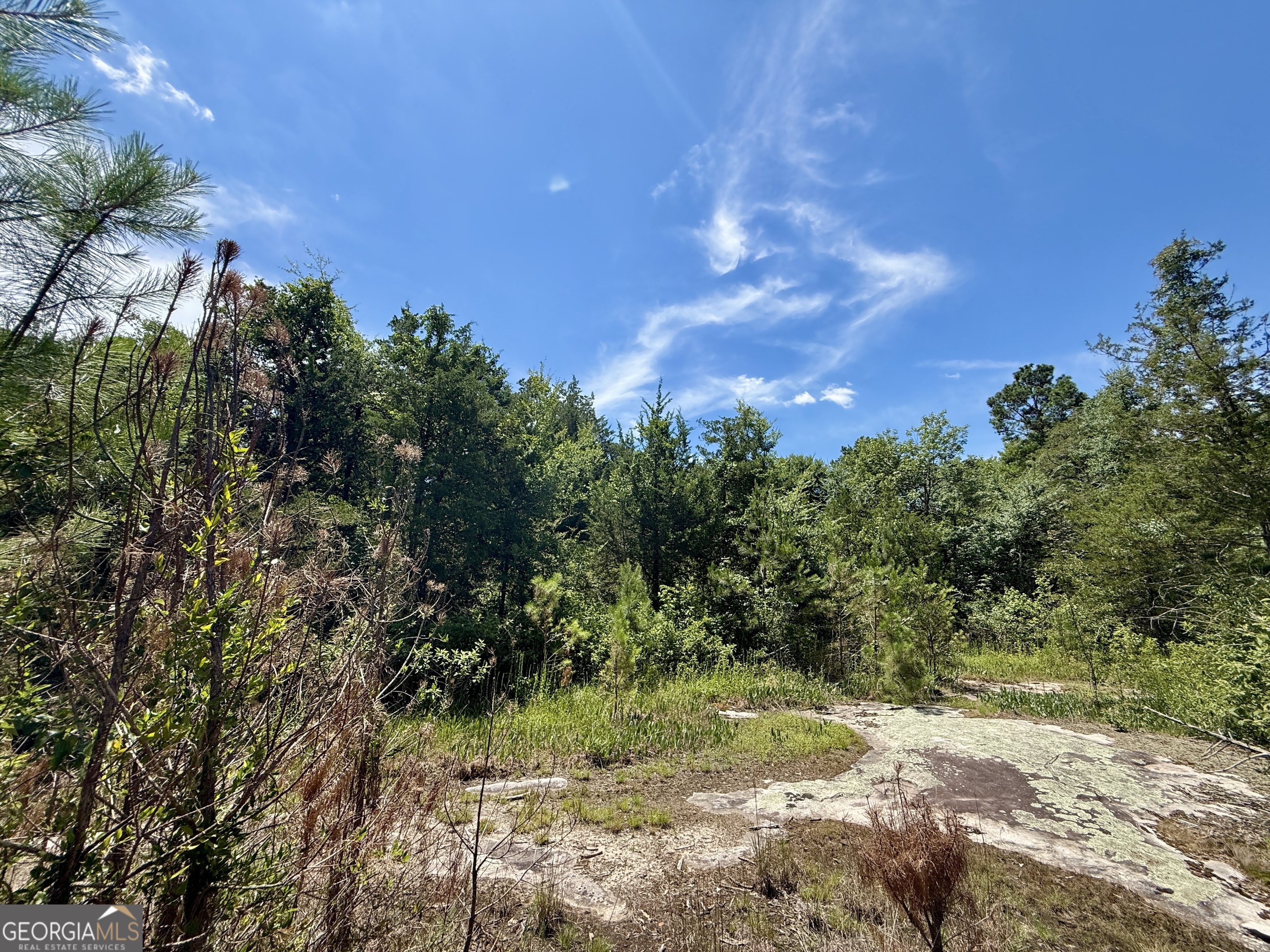 14.21-acres Northwest Irwin Bridge Road Northwest Conyers, GA 30012 - Photo 1 of 12