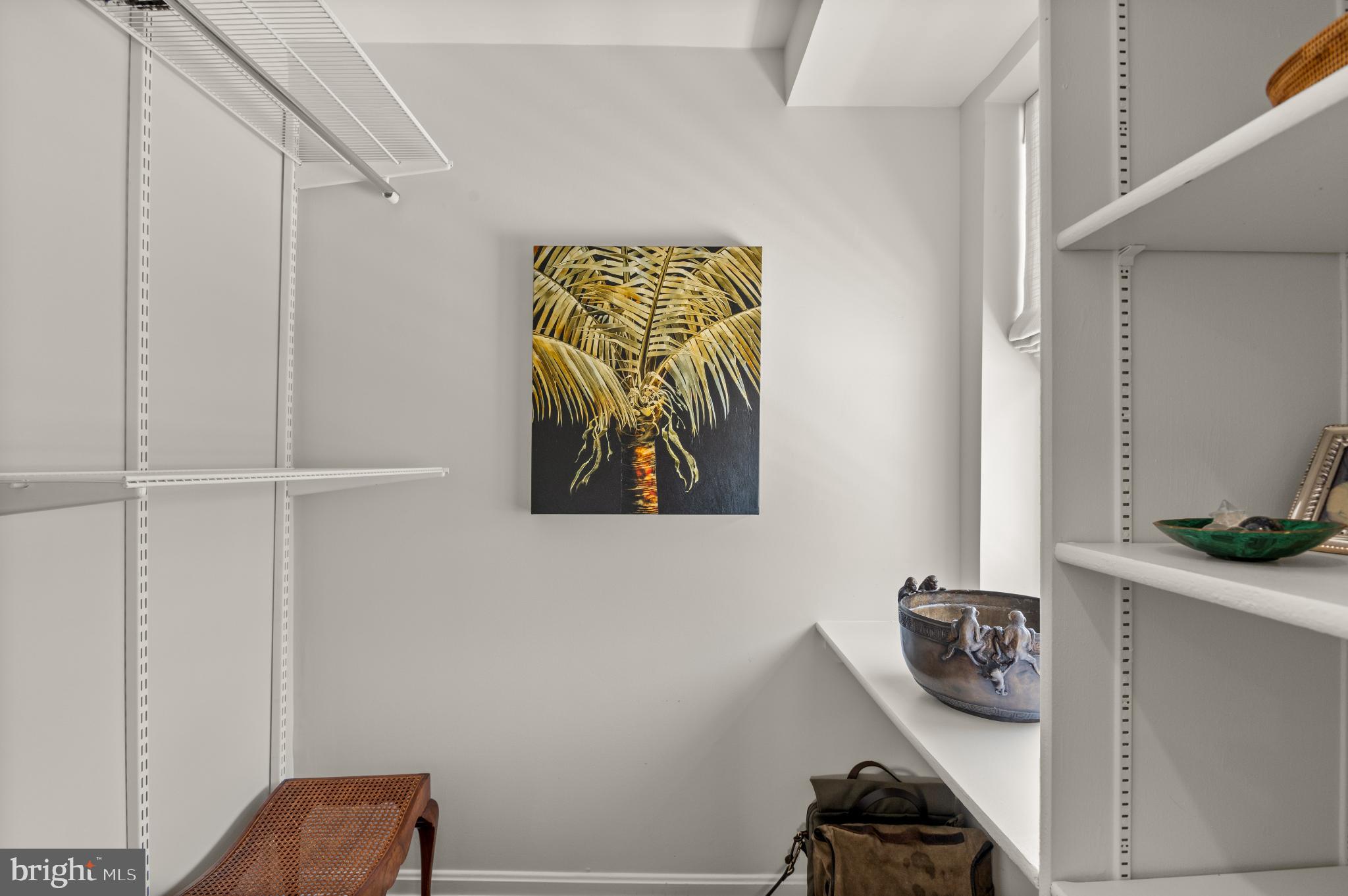 2736 P Street Northwest Washington, DC 20007 - Photo 11 of 12 Bright space with tropical art accent.