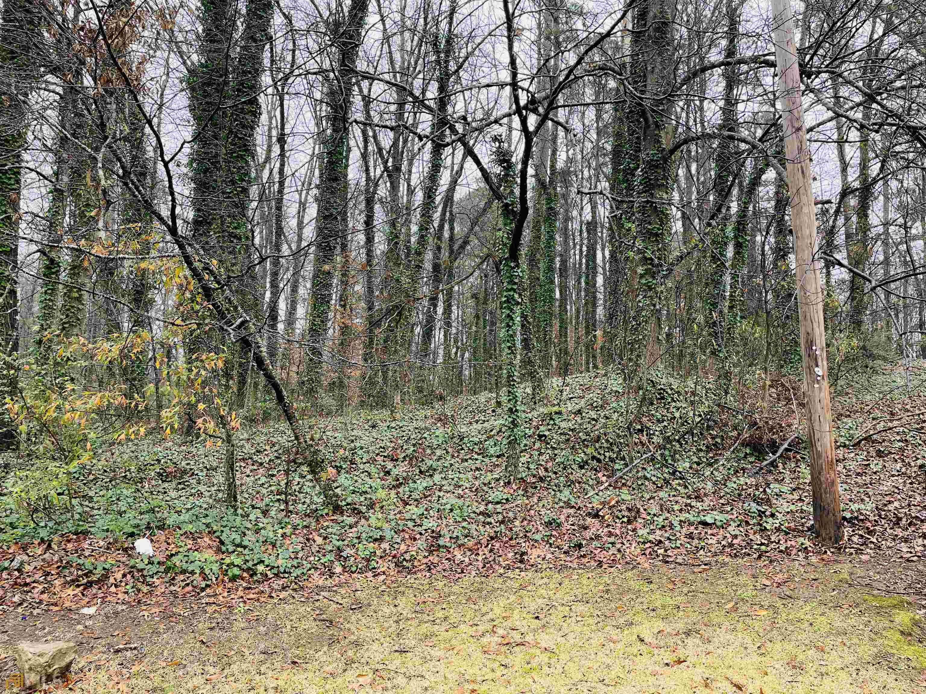 3533 Moonlight Court Decatur, GA 30034 - Photo 1 of 1 a view of forest