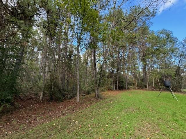 74.23-acres Larock Road Amite, LA 70422 - Photo 4 of 11 Gallery Image 4