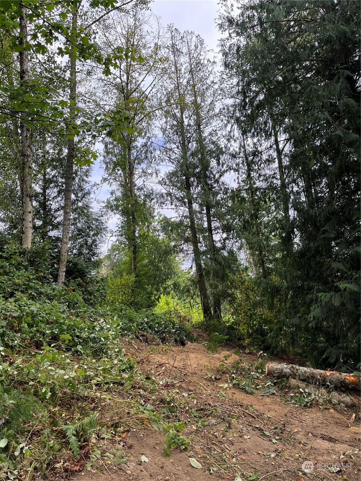 24348 Lee Road Mount Vernon, WA 98274 - Photo 11 of 25 Gallery Image 11