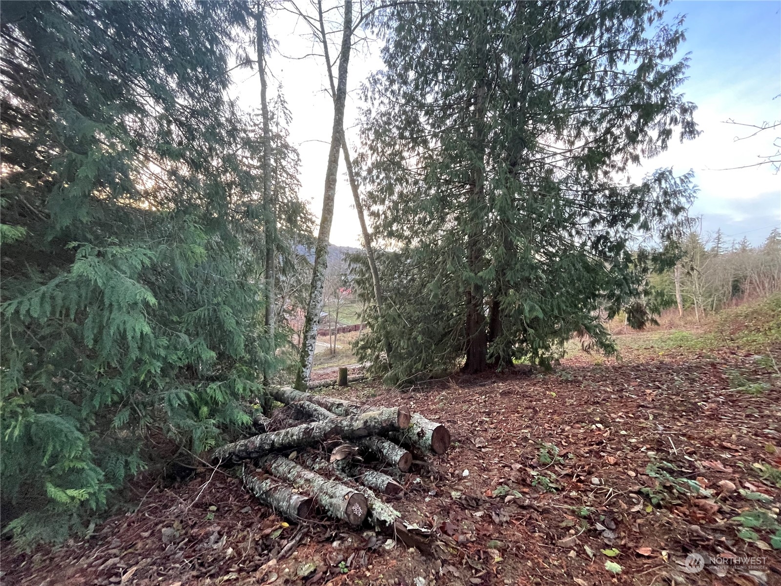 24348 Lee Road Mount Vernon, WA 98274 - Photo 20 of 25 Gallery Image 20