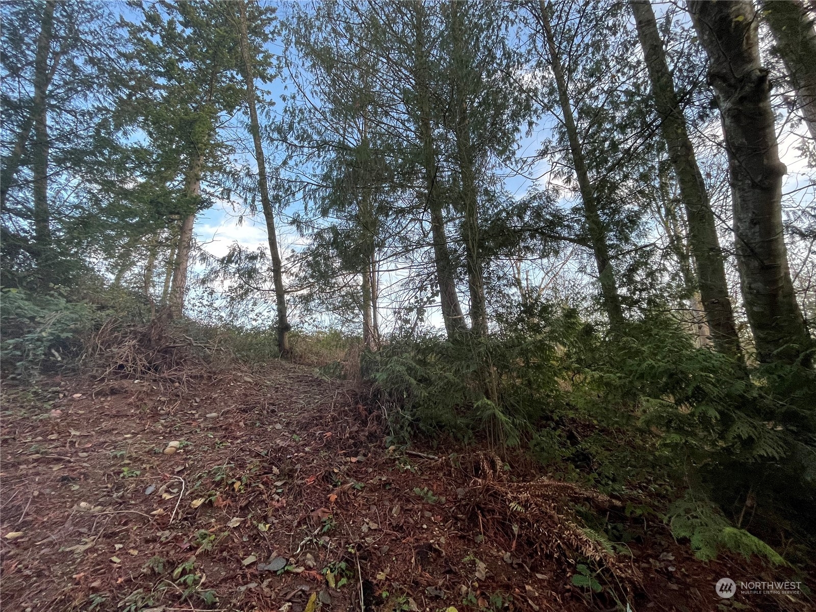 24348 Lee Road Mount Vernon, WA 98274 - Photo 24 of 25 Gallery Image 24