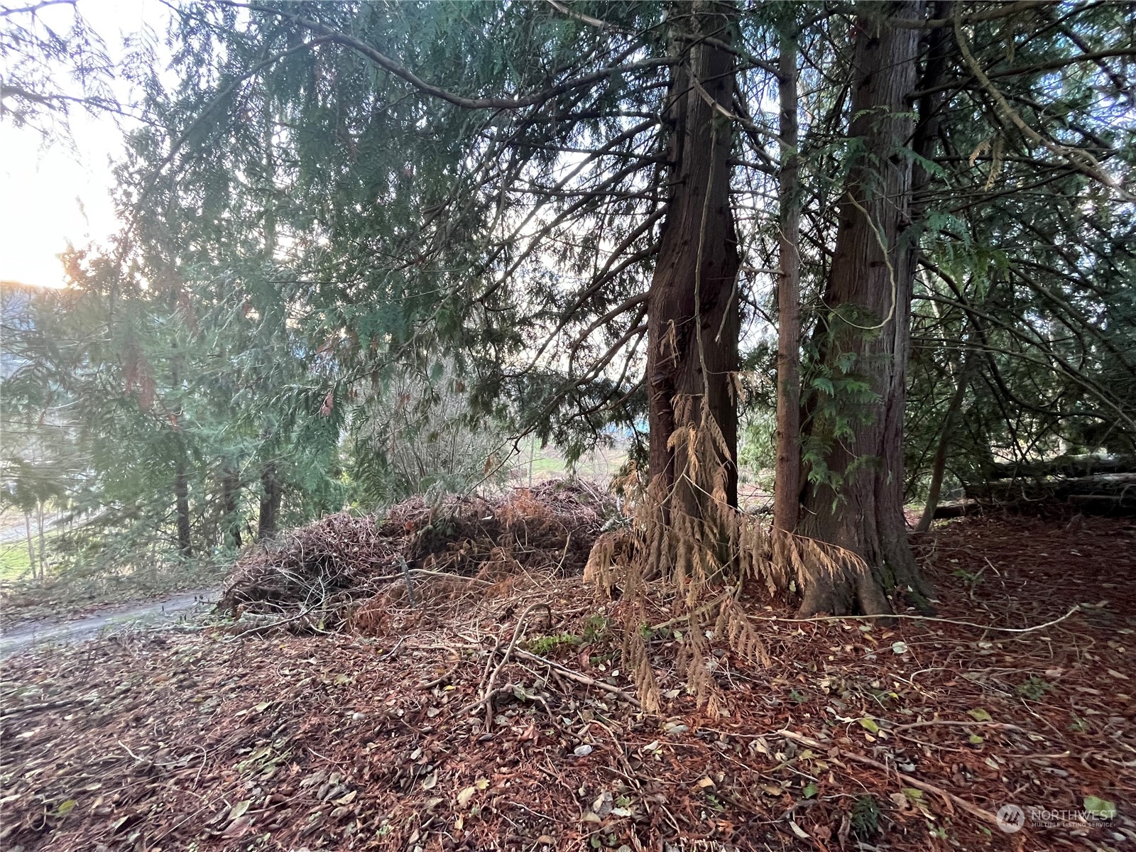 24348 Lee Road Mount Vernon, WA 98274 - Photo 10 of 25 Gallery Image 10