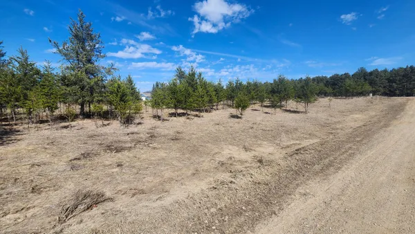 $20,000 | Tbd East Street, Breezy Point, MN 56472