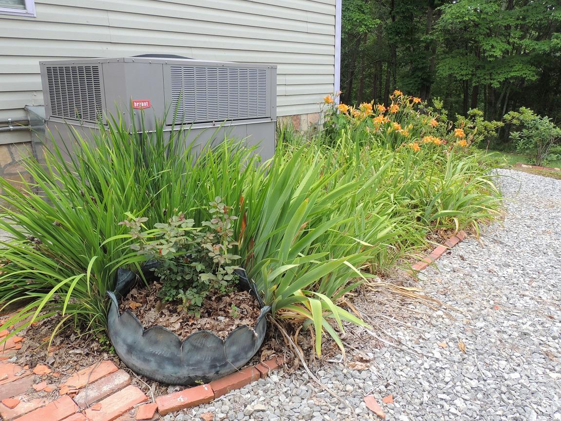119 Dye Road Madisonville, TN 37354 - Photo 24 of 38 LANDSCAPING